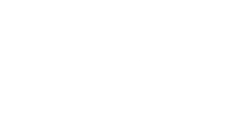 Polat Group Holding Beyaz Logo