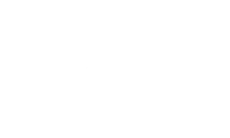 PGR Beyaz Logo